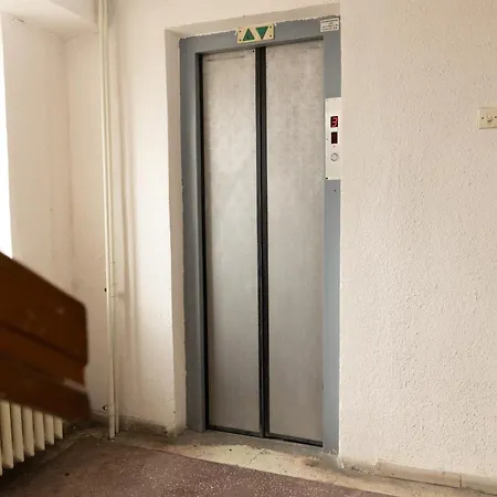 Fountain Bloom Daire *