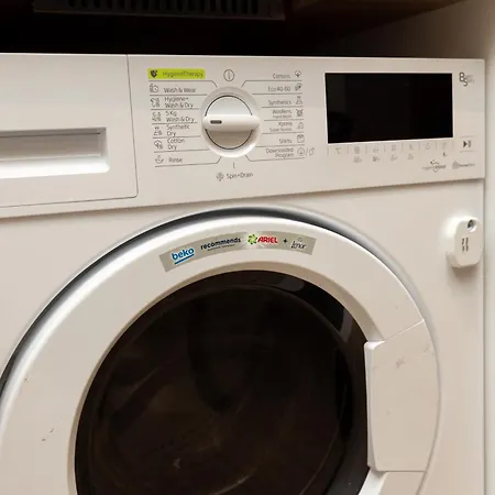 Fountain Bloom * Bukarest