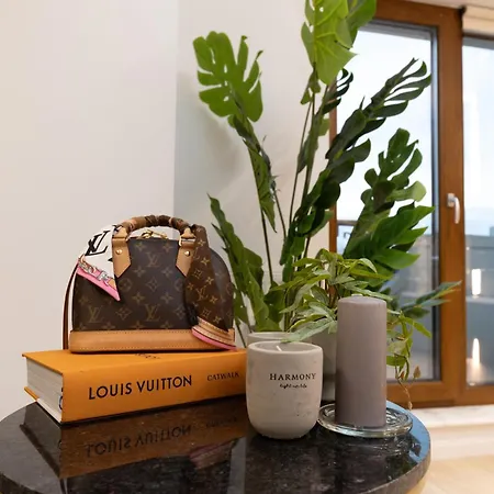 Fountain Bloom * 布加勒斯特